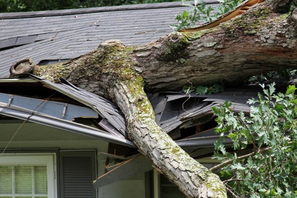 Storm Remediation in Stockbridge