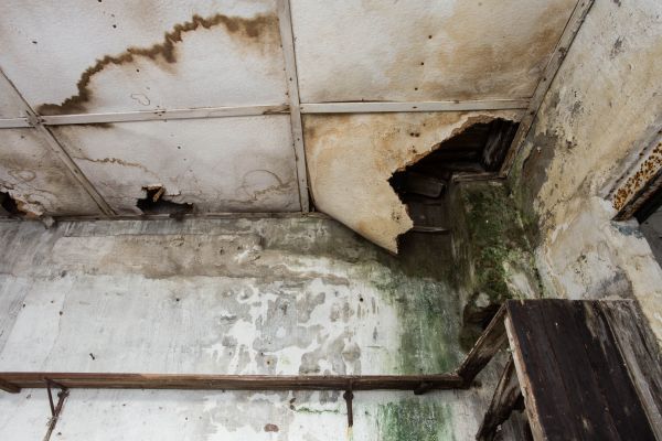 Water Damage Service in Stockbridge