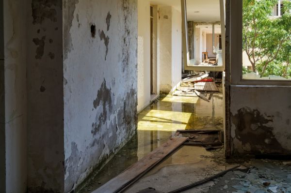 Cost of Water Removal Service in Stockbridge
