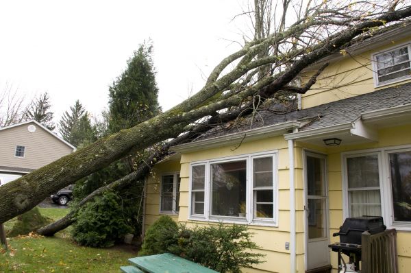 Hurricane Damage Repair in Stockbridge